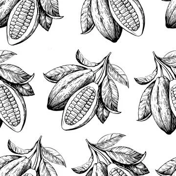 Seamless pattern with cocoa beans. Hand-drawn monochrome vector illustration. 库存插图
