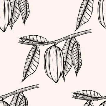 Seamless pattern of cocoa beans. Illustrazione stock