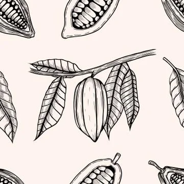 Seamless pattern of cocoa beans. Illustrazione stock