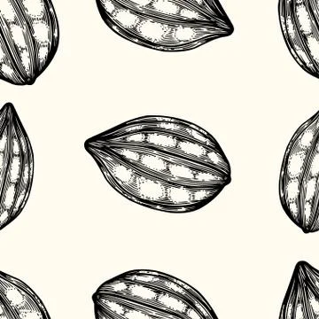 Seamless pattern of cocoa beans. Illustrazione stock