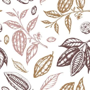 Seamless pattern with cocoa beans Stock Illustration