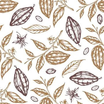 Seamless pattern with cocoa beans 库存插图