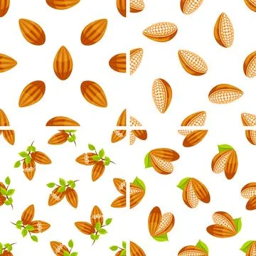 Seamless pattern with cocoa beans showing the inside and the outside with and 库存插图
