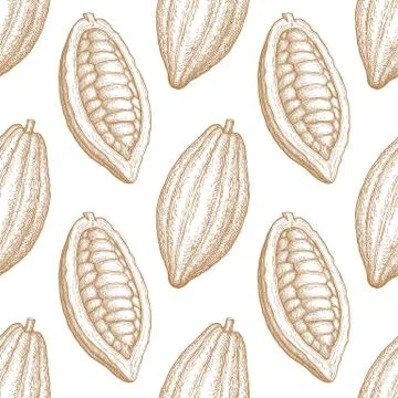 Seamless pattern with cocoa fruits. Illustrazione stock