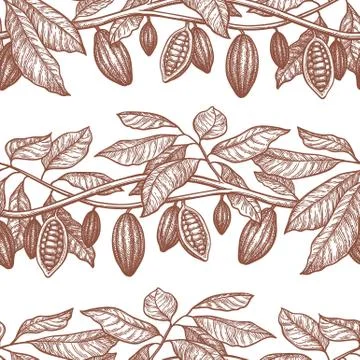 Seamless pattern with cocoa. Stock Illustration