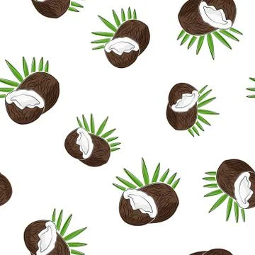 Seamless Pattern of  Coconut Stock Illustration