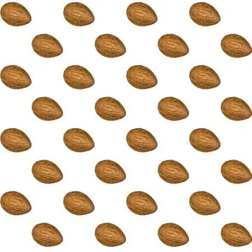 Seamless pattern from coconut on a white background. organic lifestyle wallpa Stock Photos