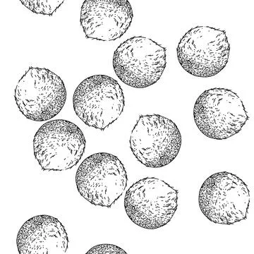 Seamless pattern coconut white sketch hand drawn Stock Illustration