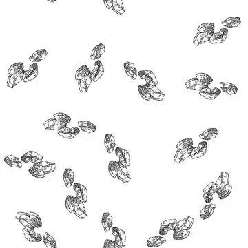 Seamless pattern coconut white sketch hand drawn Illustrazione stock