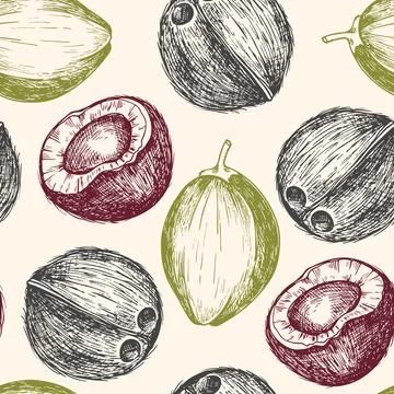 Seamless pattern with coconuts. Stock Illustration