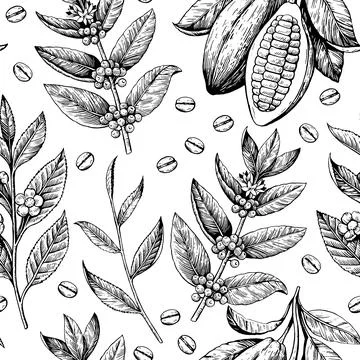 Seamless pattern with coffee beans, cacao pods and tea branches. Black and .. Illustrazione stock