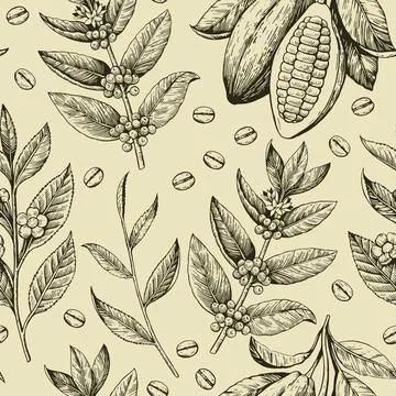 Seamless pattern with coffee beans, cacao pods and tea branches. Black and .. Stock Illustration