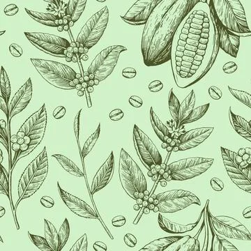 Seamless pattern with coffee beans, cacao pods and tea branches. Black and .. Stock Illustration