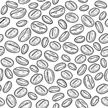 Seamless pattern coffee beans. Vector vintage engraving 스톡 일러스트