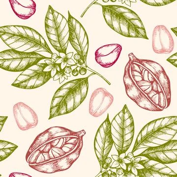 Seamless pattern with cola nuts. Stock Illustration