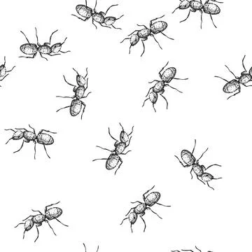 Seamless pattern colony ant sketch hand drawn Stock Illustration
