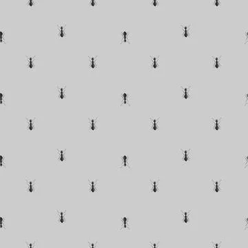 Seamless pattern colony ants on gray background. Vector insects template in f Illustration