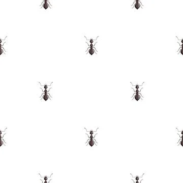 Seamless pattern colony ants on white background. Vector insects template in  Stock Illustration