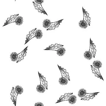 Seamless pattern color gerbera daisy sketch hand drawn Stock Illustration