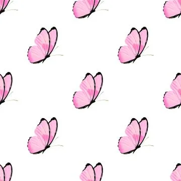 Seamless pattern of colored butterflies isolated on white background Stock Photos