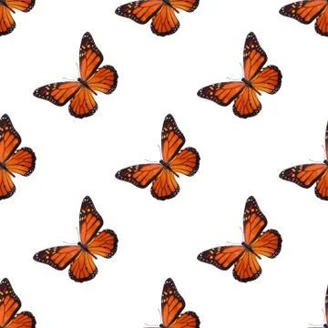 Seamless pattern of colored butterflies isolated on white background Stock Photos