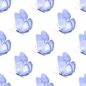 Seamless pattern of colored butterflies isolated on white background Stock Photos