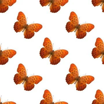 Seamless pattern of colored butterflies isolated on white background Stock Photos