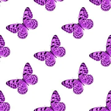 Seamless pattern of colored butterflies isolated on white background Stock Photos