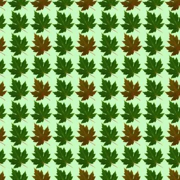 Seamless pattern with colored leaves on a light green background that can be Foto stock