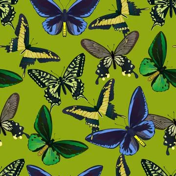 Seamless pattern with colorful big tropical butterflies, swallowtail and Stock Illustration