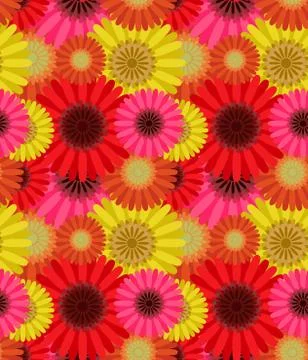 Seamless pattern colorful gerbera flowers Stock Illustration