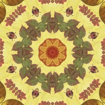 Seamless pattern with colorful leaves Illustrazione stock