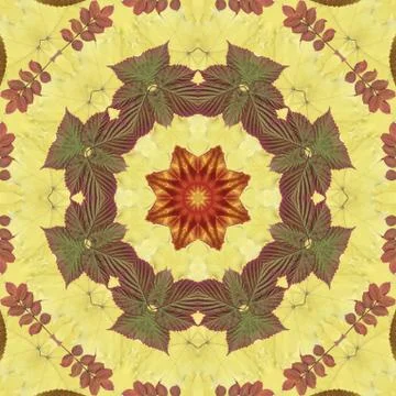 Seamless pattern with colorful leaves Illustrazione stock
