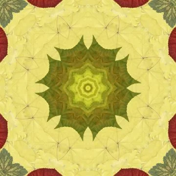 Seamless pattern with colorful leaves Stock Illustration