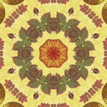 Seamless pattern with colorful leaves Stock Illustration