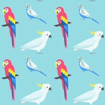 Seamless pattern with colorful parrots - macaw, cockatoo and budgerigar Illustrazione stock