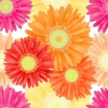 Seamless Pattern from Colorful Realistic Gerbera Flowers. Summer background Stock Illustration
