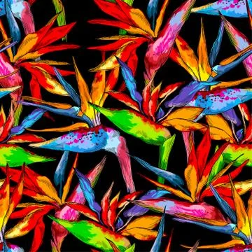 Seamless pattern of colorful strelitzia collection. Vector exotic flowers of a Illustrazione stock