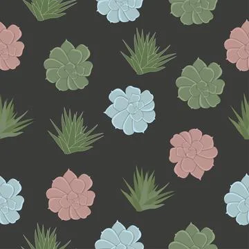 Seamless pattern with colorful succulent on black Stock Illustration