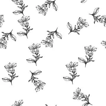 Seamless pattern colors petunia sketch hand drawn Illustrazione stock