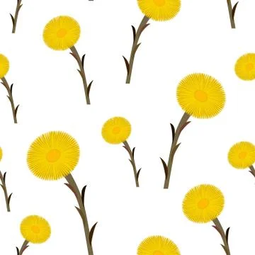 Seamless pattern coltsfoot flowers Stock Illustration
