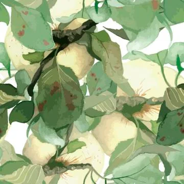 Seamless pattern composed of white watercolor alpples with leaves Stock Illustration