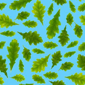 Seamless pattern. Composition of oak leaves of different size on a blue backg Stock Photos