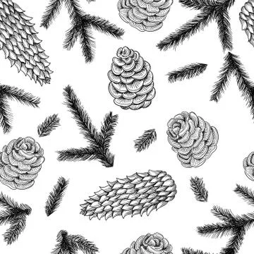 Seamless pattern cones and pine and spruce tree branches. Vector sketch hand Stock Illustration