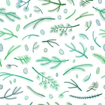 Seamless pattern with coniferous branches and cones. Stock Illustration