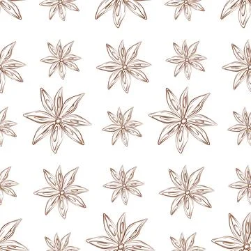 Seamless pattern of contour drawing star anise in brown shade. Spicy spice for Stock Illustration