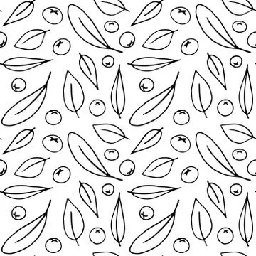 Seamless pattern contour leaves and small berries of the mountain ash isolate Stock Illustration