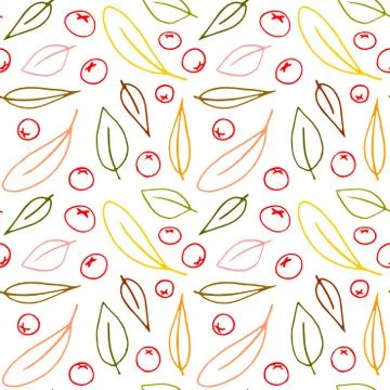 Seamless pattern contour leaves and small berries of the mountain ash isolate Stock Illustration