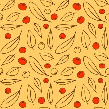 Seamless pattern contour leaves and small red berries of mountain ash isolate Stock Illustration