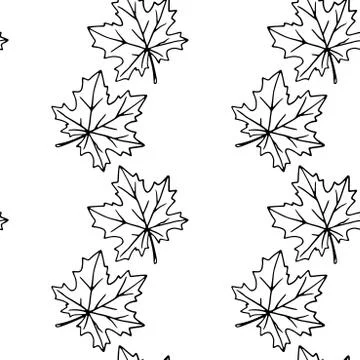 Seamless pattern of contoured maple leaves isolated on a white background. Si Stock Illustration